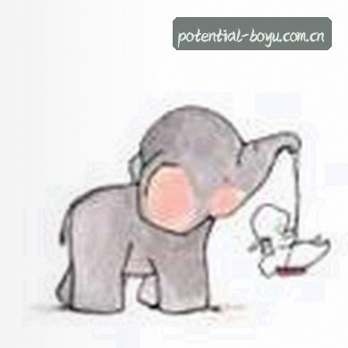 孙哥